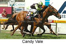 Candy Vale (16727 bytes)