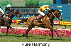 Pure Harmony (16727 bytes)