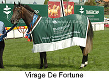 Virage De Fortune (16727 bytes)