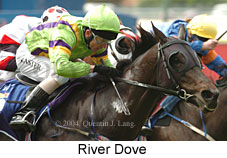 River Dove (17996 bytes)