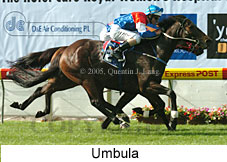 Umbula (18294 bytes)