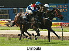 Umbula (18294 bytes)