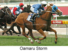 Oamaru Storm (18294 bytes)
