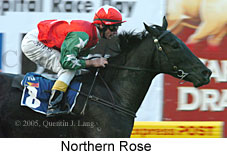 Northern Rose (18294 bytes)