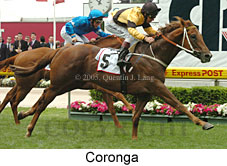 Coronga (18294 bytes)