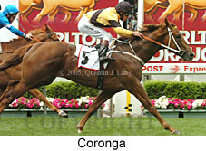 Coronga (18294 bytes)