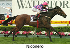 Niconero (18294 bytes)