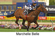 Marchelle Belle (18294 bytes)