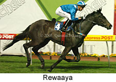 Rewaaya (17134 bytes)