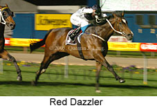 Red Dazzler (17134 bytes)
