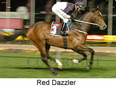 Red Dazzler (17134 bytes)