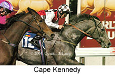 Cape Kennedy (16216 bytes)
