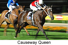 Causeway Queen (18294 bytes)