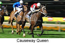Causeway Queen (18294 bytes)