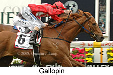 Gallopin (18294 bytes)
