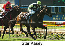 Star Kasey (14872 bytes)