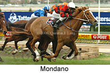 Mondano (14872 bytes)