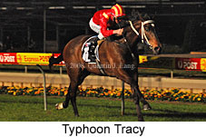 Typhoon Tracy (17134 bytes)