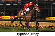 Typhoon Tracy (17134 bytes)