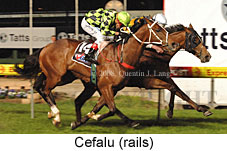 Cefalu (17134 bytes)