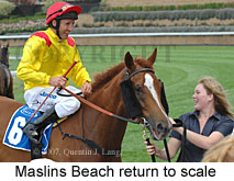 Maslins Beach return to scale (18294 bytes)