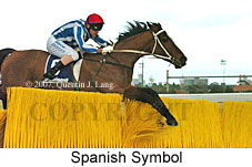 Spanish Symbol (16727 bytes)