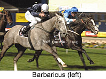 Barbaricus (17134 bytes)