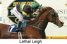 Lethal Leigh (14587 bytes)