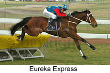 Eureka Express (11039 bytes)