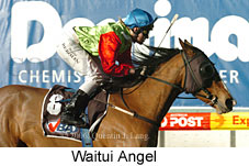 Waitui Angel (14872 bytes)