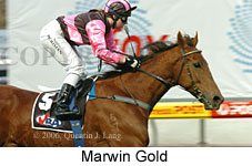 Marwin Gold (14872 bytes)