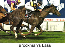 Brockman's Lass (17134 bytes)