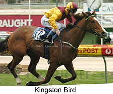 Kingston Bird (14872 bytes)