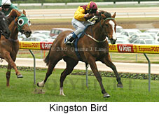 Kingston Bird (14872 bytes)