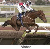 Alobar (14965 bytes)