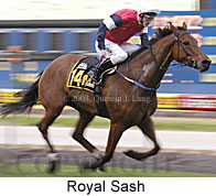 Royal Sash (15233 bytes)