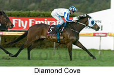 Diamond Cove (14872 bytes)
