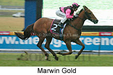Marwin Gold (14872 bytes)