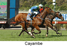 Cayambe (18507 bytes)