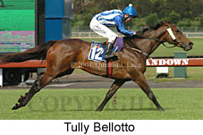 Tully Bellotto (18507 bytes)
