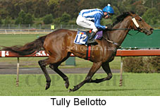Tully Bellotto (18507 bytes)