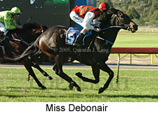 Miss Debonair (14872 bytes)