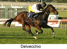Delvecchio (14872 bytes)