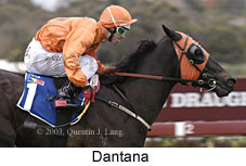 Dantana (12503 bytes)