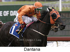 Dantana (13698 bytes)