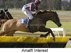 Amalfi Interest (16691 bytes)