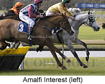 Amalfi Interest (16257 bytes)