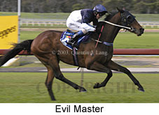 Evil Master (13778 bytes)