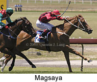 Magsaya (14030 bytes)