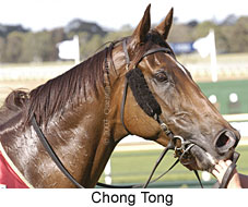Chong Tong (16517 bytes)